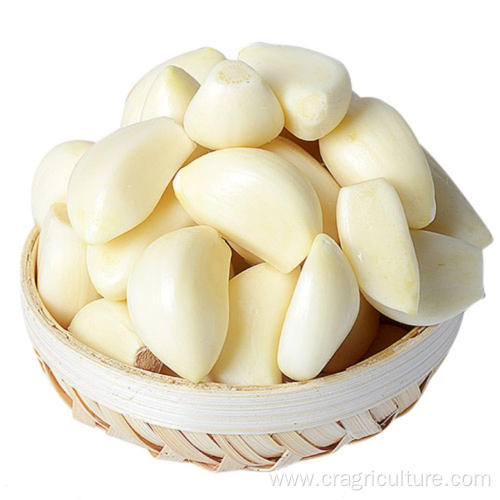 New Crops Factory Supply Peeled Garlic